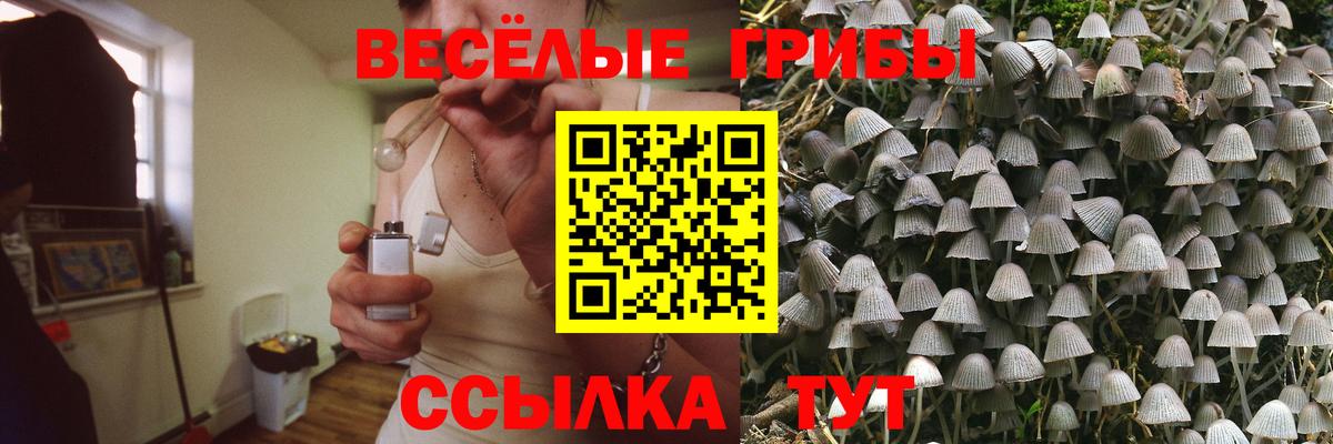 Ивантеевка  Галлюциногенные грибы мухоморы  Вход с VPN  Псилоцибиновые грибы Magic Shrooms 